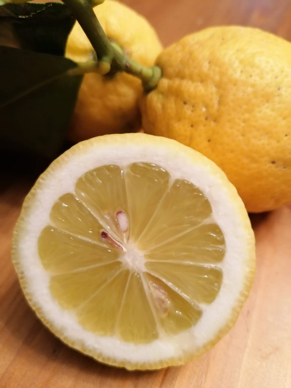 Włoskie cytryny z wybrzeża Amalfi BIO  1kg 