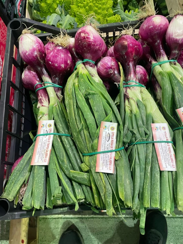Włoska cebula czerwona Tropea młoda ze szczypiorem, wiązka ok. 850gr - Kalabria