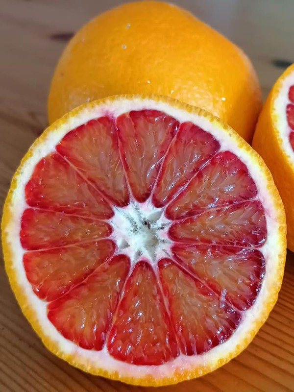 Sycylijskie pomarańcze czerwone Sanguinello BIO 1 kg