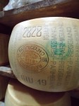 Parmigiano Reggiano DOP 24 mesi - ser Parmezan 24-miesięczny 100g