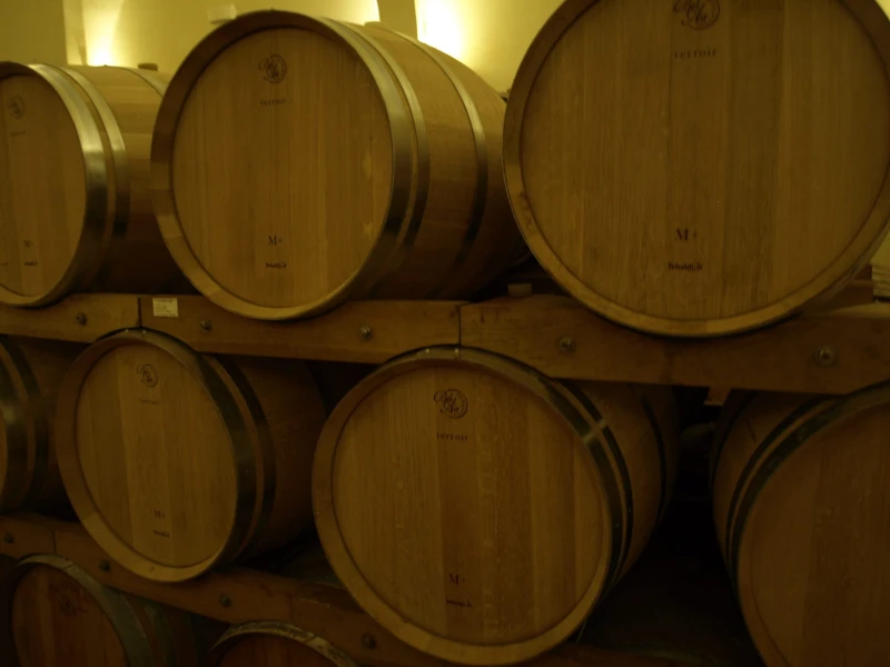 Coste a Preola Nero d'Avola DOC BIO- wino czerwone wytrawne