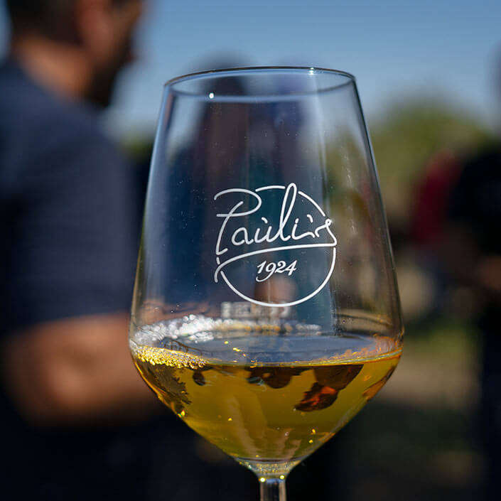 wines-cantina-paulis-monserrato.jpg