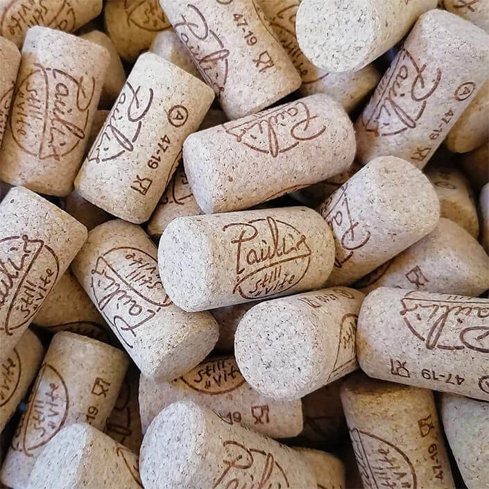 bottle-caps-paulis-stili-di-vite.jpg
