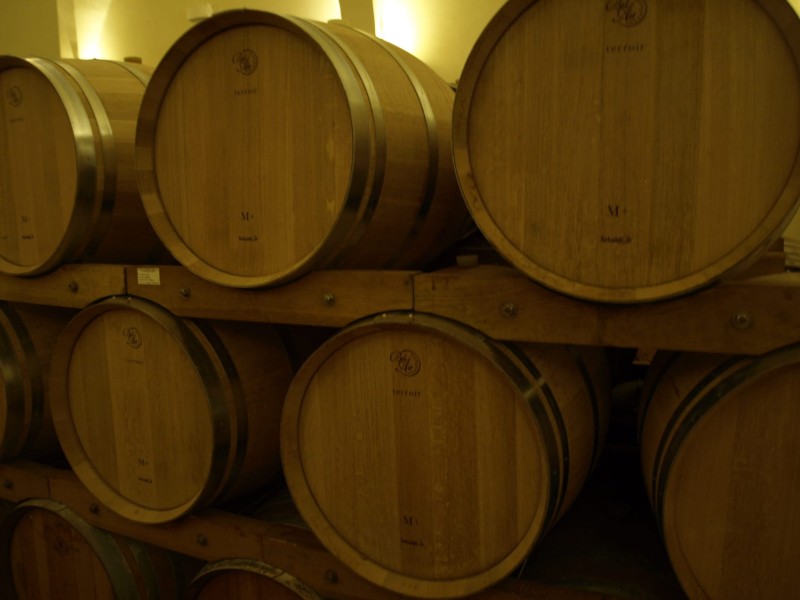 Coste a Preola Grillo DOC BIO Gorghi Tondi - wino białe wytrawne