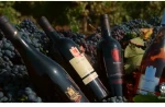 Zrzut ekranu 2026-04-29 o 06.59.30.png