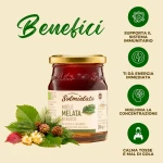 benefici_miele_di_melata.webp
