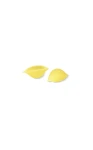 36-Conchiglie.jpg
