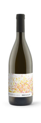 Wino białe wytrawne Souvignier Gris IGT BIO, 750 ml - Bresolin, Veneto