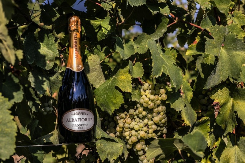 Prosecco DOC Extra Dry Albafiorita - Wino białe musujące