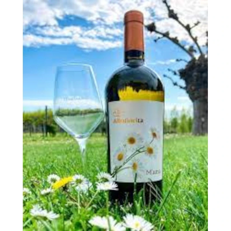 Albafiorita M'ama IGT Friuli BIO - wino białe wytrawne